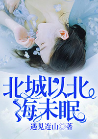 北城以北海未眠苏眠小说全章节完整目录阅读资源