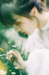 目光所至满眼是你向晚白顾景莫小说VIP章节免费阅读