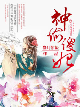神偷傻妃小说最新章节在线阅读无弹窗