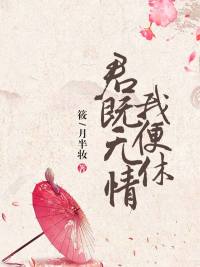 男主角南宫辰女主角萧倾泠小说名字叫什么