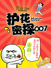 护花密探007林飞陈燕小说全文阅读