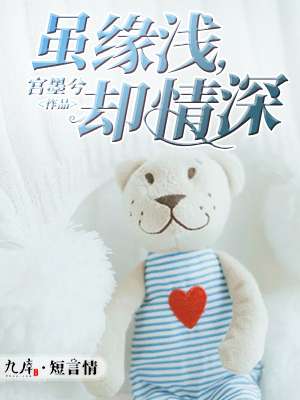 虽缘浅却情深安灵APP内阅读