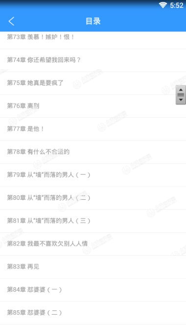 风水俏佳人(江颜严以枭)完整版小说