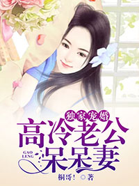 独家宠婚高冷老公呆呆妻小说全文在线阅读