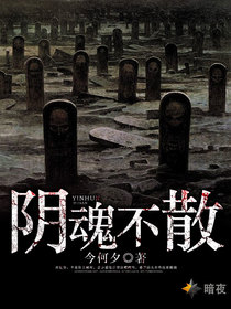 阴魂不散by今何夕全文免费无广告